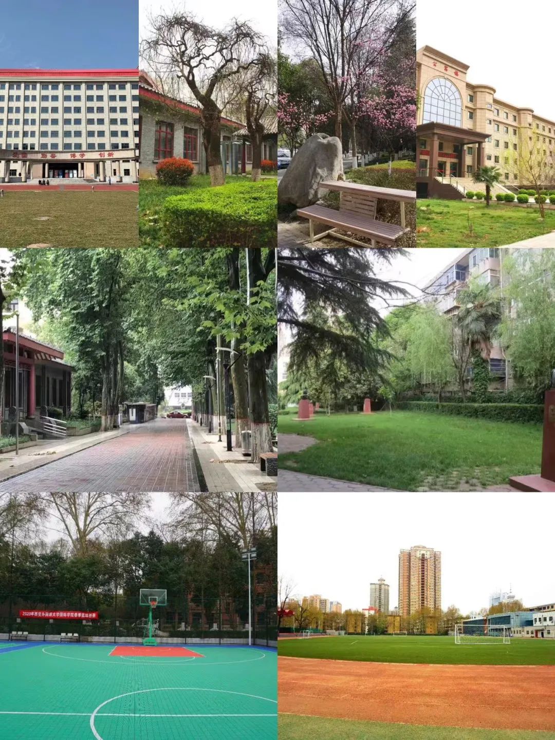 高考300-400分 | 2026西安外国语大学SQA3+1国际本科招生简章! 高考300-400分 | 2026西安外国语大学SQA3+1国际本科招生简章!