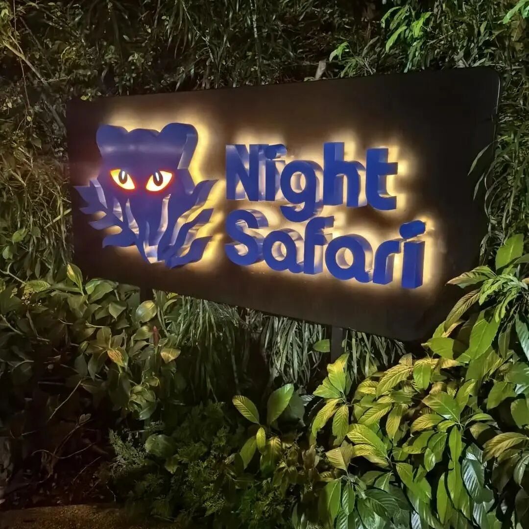 【15周岁+】春晚机器人武术刷屏！南洋理工用 AI + 自动化讲透背后原理