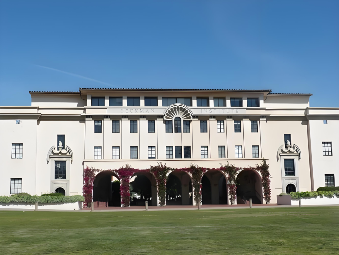 26Fall加州大学9所分校「内部录取分层」也太明显了，看不懂了...