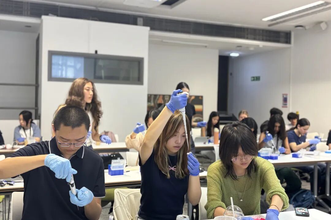 罗塞塔生物医学实验夏校带你揭秘-生物挑战科研能力|哥大/UCSD/UCL