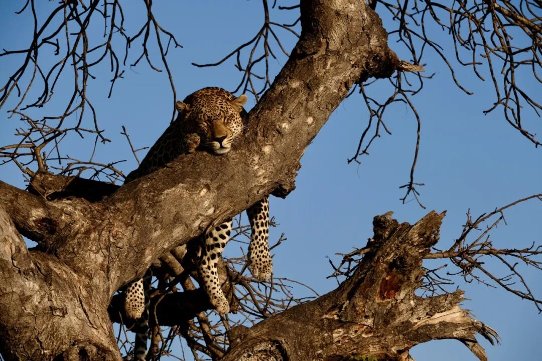 2026届丁希：在剑桥设计专业，成为理科最强的艺术生