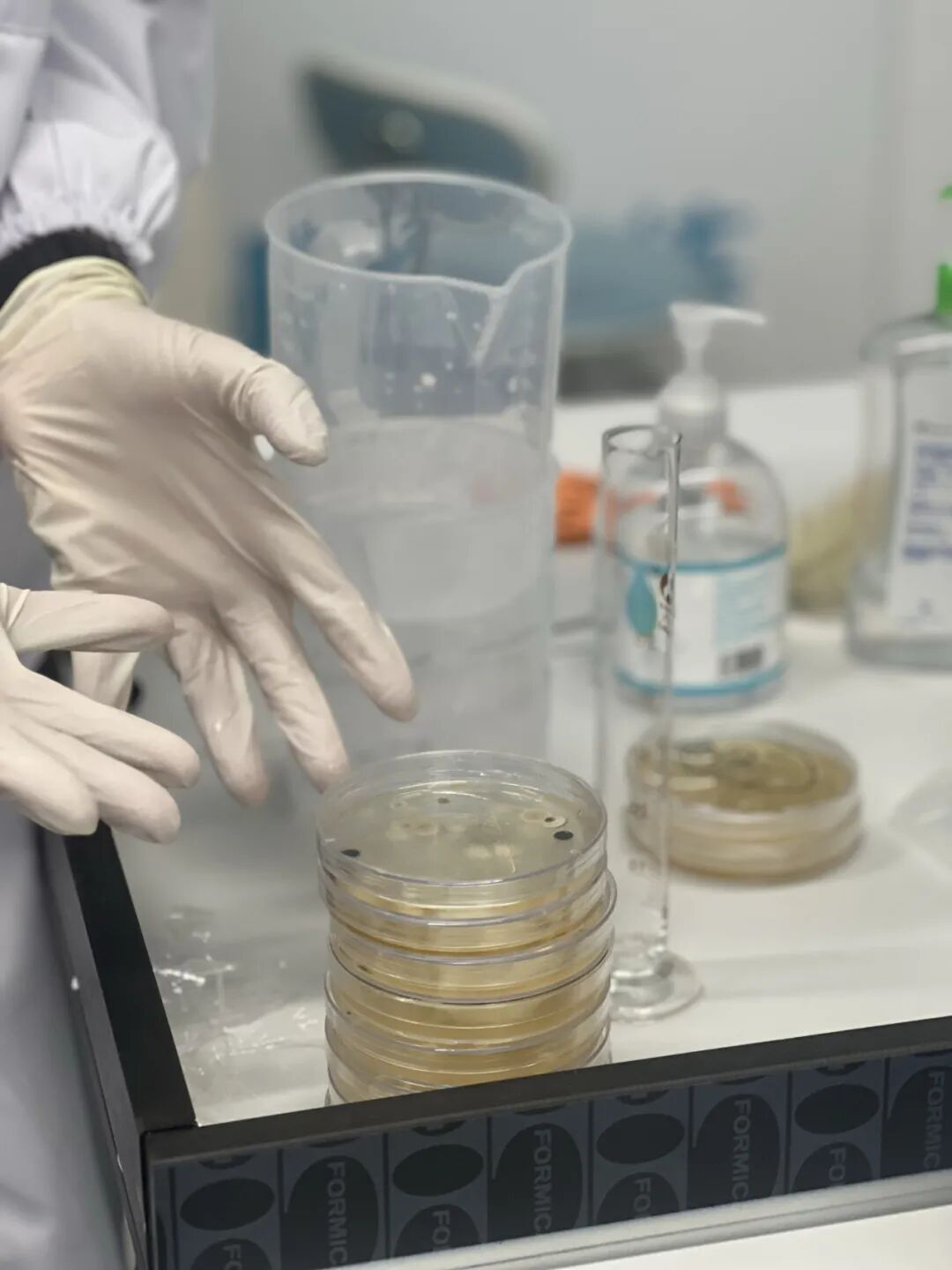 【生物科研】站在基因科技的最前沿：加入华大基因，亲历人类基因组解读革命​