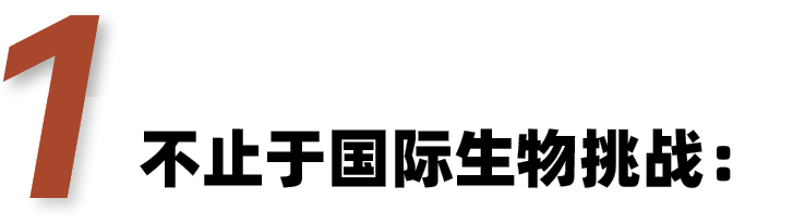 罗塞塔生物医学实验夏校带你揭秘-生物挑战科研能力|哥大/UCSD/UCL