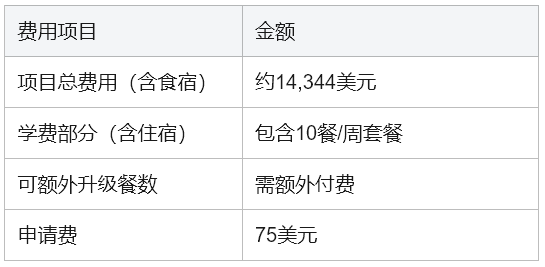 2026夏校申请已开放！NYU高中生游戏设计学分项目详解