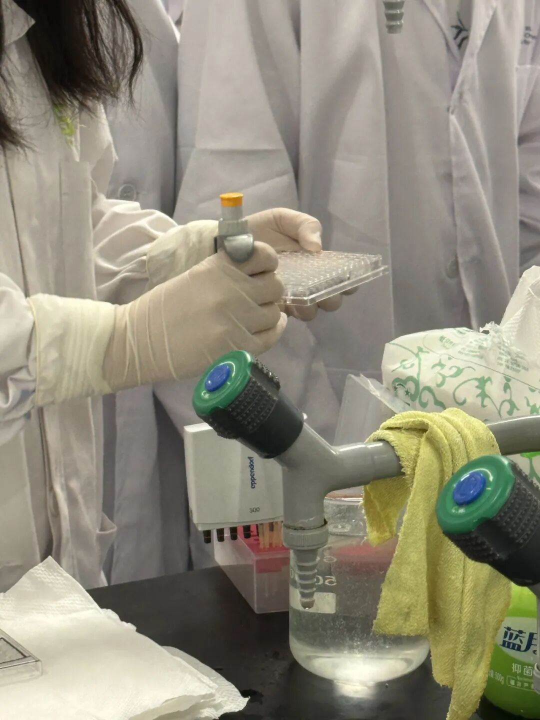 【生物医学科研】赋能免疫细胞：让治愈癌症成为可能，探索TCR-T实体瘤免疫治疗