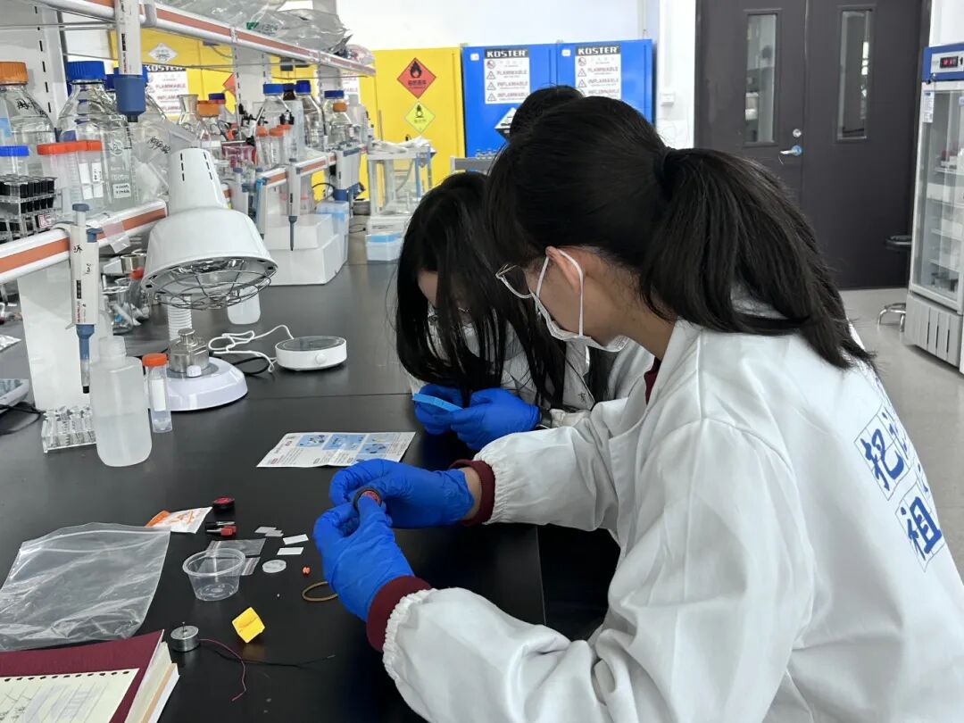 项目回顾 | 氢能电池：合成燃料电池的新型催化剂