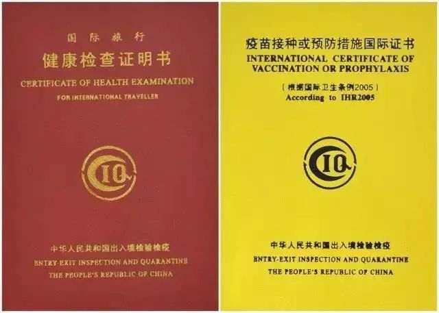 新生指南！赴美留学行前准备，这样安排体检+疫苗，过程更丝滑...