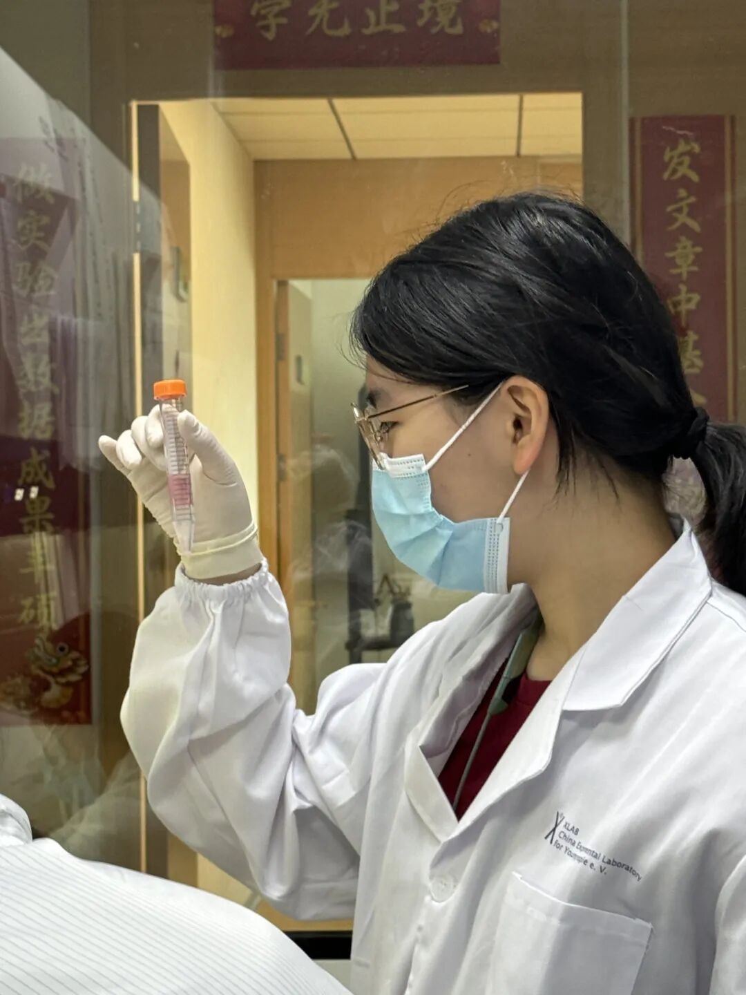 【生物医学科研】赋能免疫细胞：让治愈癌症成为可能，探索TCR-T实体瘤免疫治疗