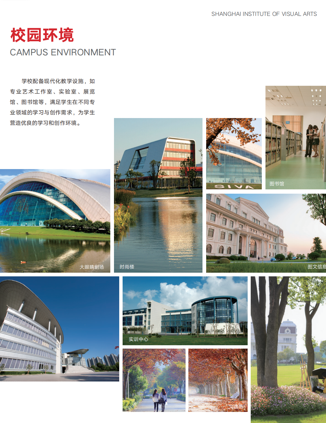 高考200+艺术生 | 上海视觉艺术学院1+3/2+2国际本科（英澳、新加坡）2026招生简章！