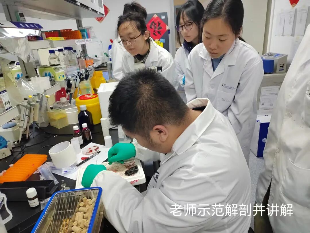 项目回顾 | 免疫治疗药物的开发与创新