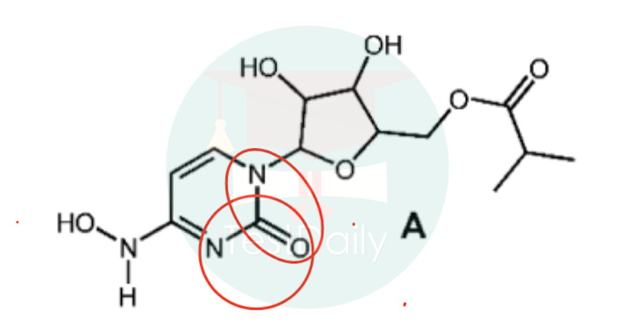 CCC考前必看！CCC之有机官能团（functional group）精华干货分享！