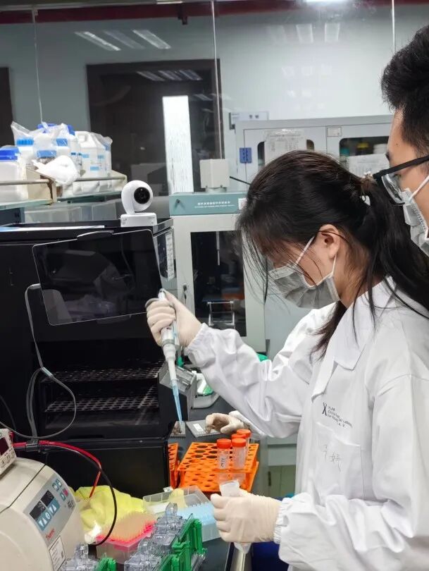 给细胞装上“高清摄像头”！在国家级实验室，亲手操作最前沿的荧光成像技术