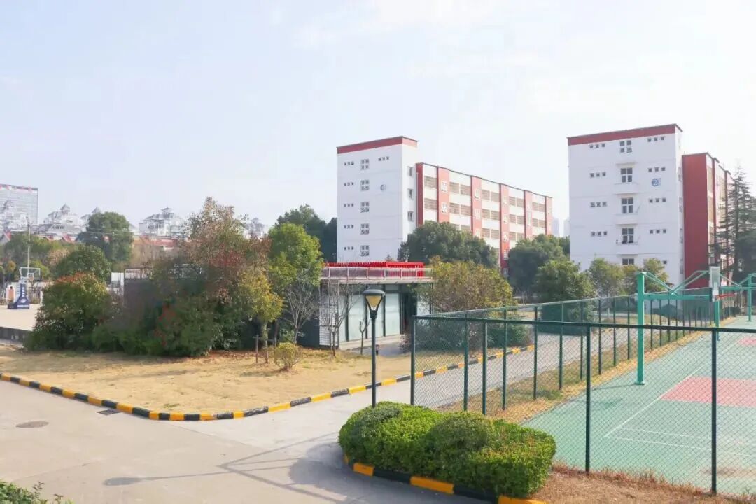 2026春季常规赛｜合肥线下城市赛参赛指南