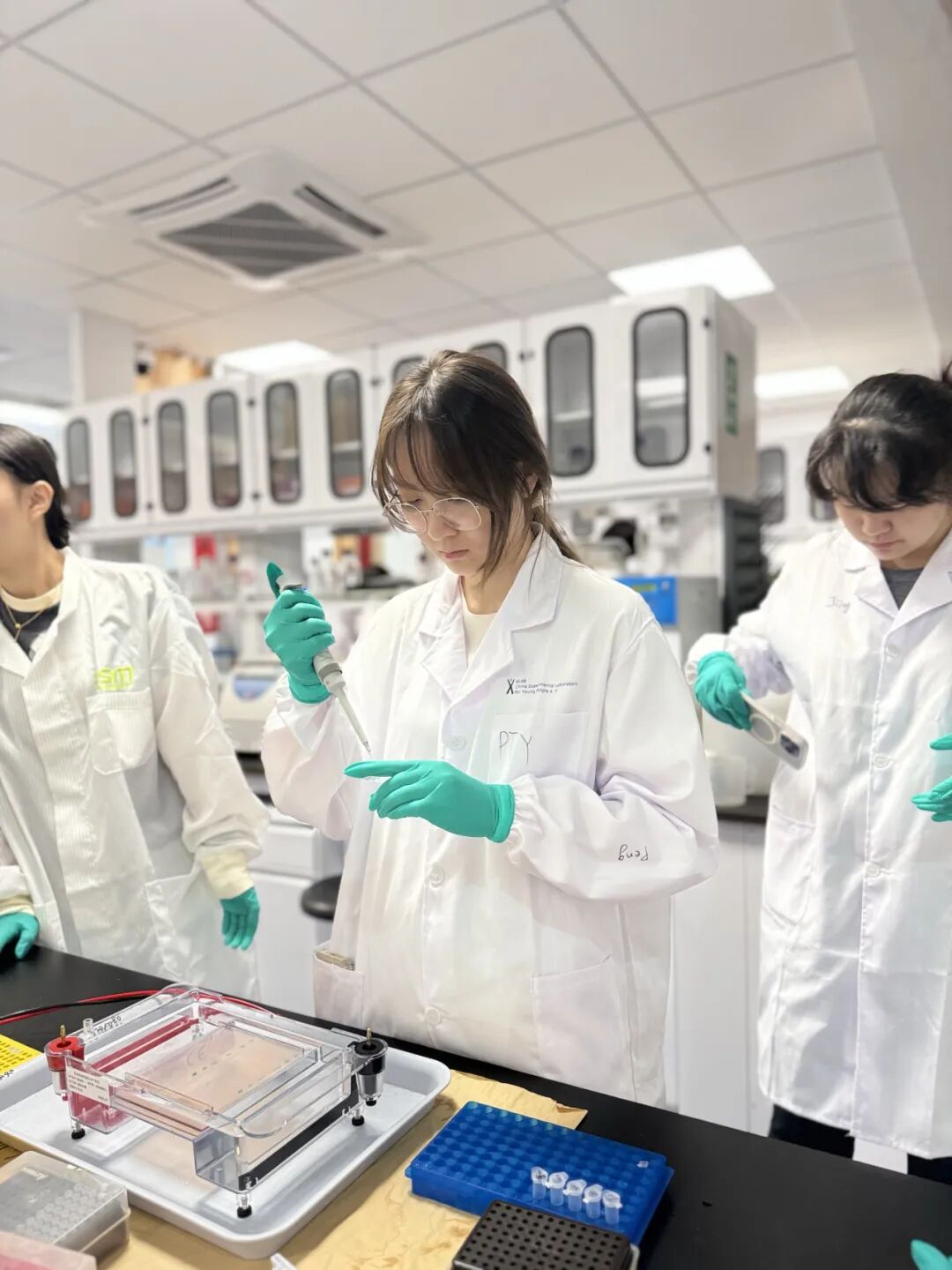 给T细胞装上“导航仪”：揭秘诺贝尔奖级抗癌黑科技CAR-T