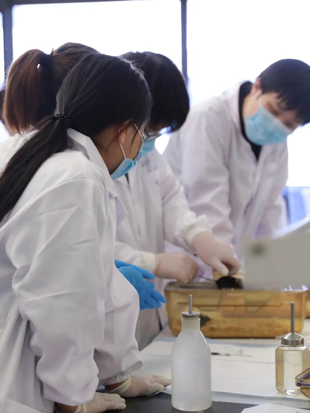 探寻24诺贝尔化学奖：AI赋能蛋白质设计