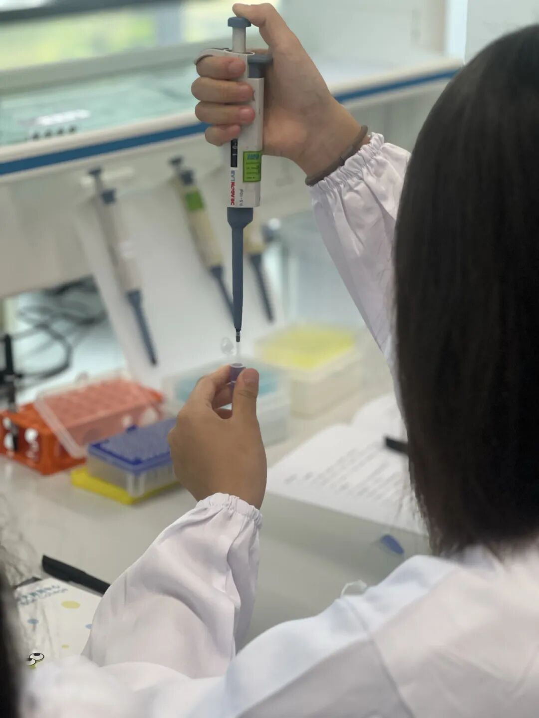 【生物科研】站在基因科技的最前沿：加入华大基因，亲历人类基因组解读革命​