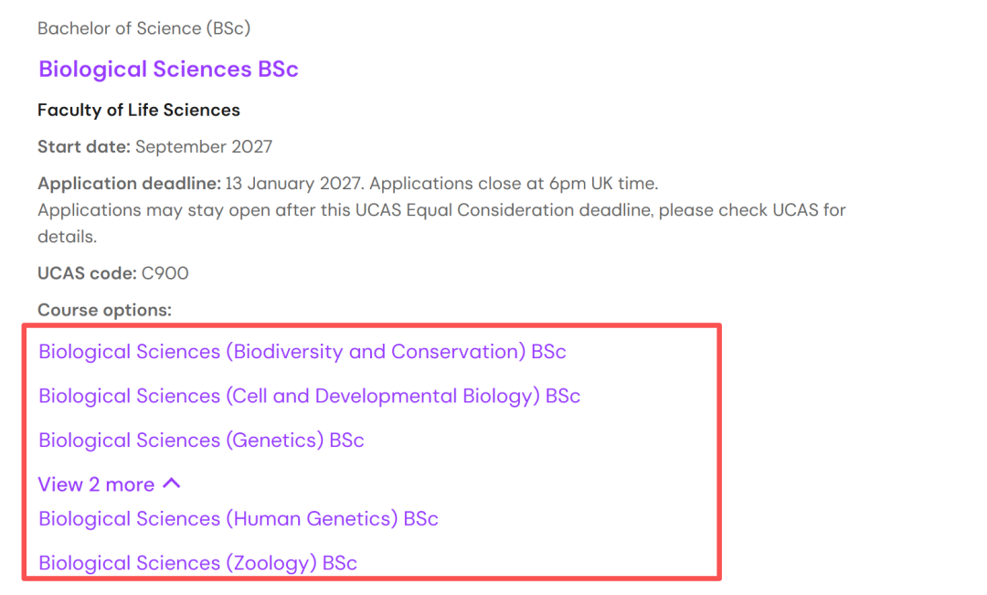 UCL公布27年本科申请要求，热门专业A Level成绩要求多少？