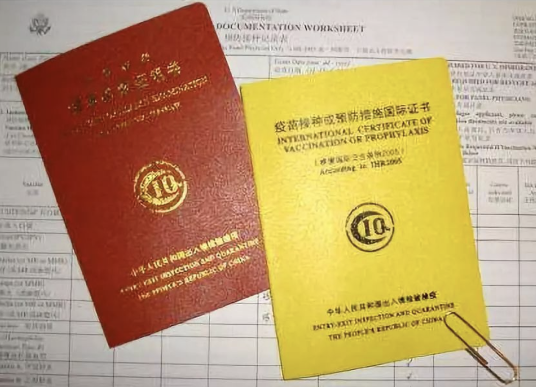 新生指南！赴美留学行前准备，这样安排体检+疫苗，过程更丝滑...