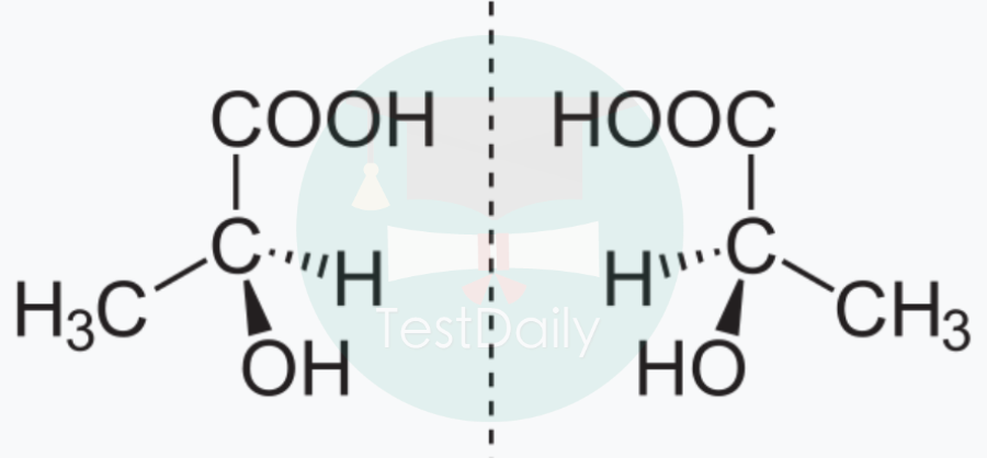 CCC重点考点之有机同分异构（isomer），精华干货分享！