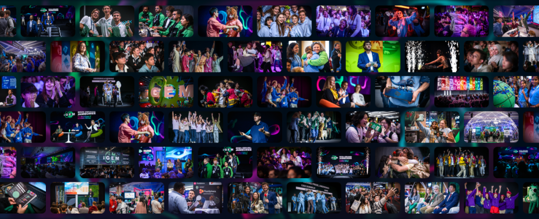 2026 iGEM 第一堂课｜解锁合成生物学顶赛，打开合成生物学的未来之门