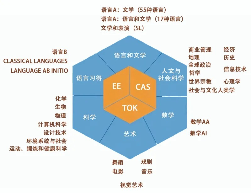 alevel和ib的区别：国际生/转轨生怎么选？附机构国际课程IG/IB/ALevel培训暑假班