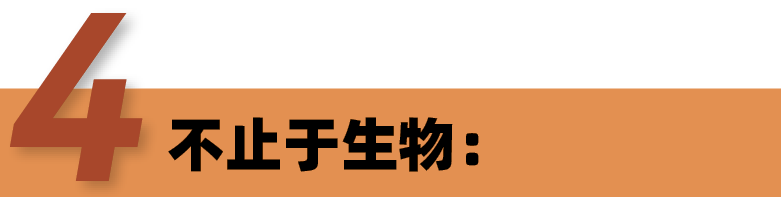 罗塞塔生物医学实验夏校带你揭秘-生物挑战科研能力|哥大/UCSD/UCL