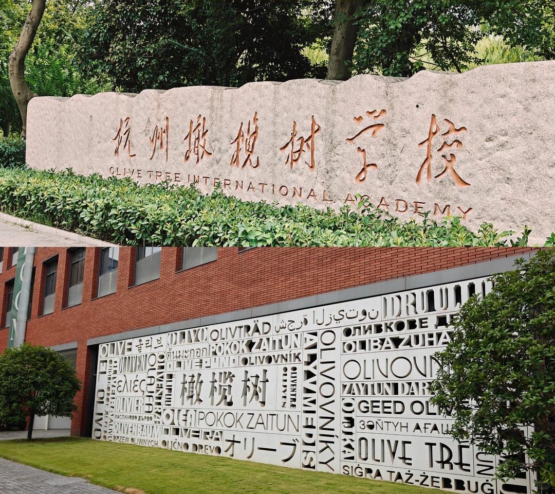 杭州橄榄树学校 十二年制的民办国际化学校