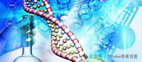BBO英国生物奥赛介绍 BBO竞赛备考攻略