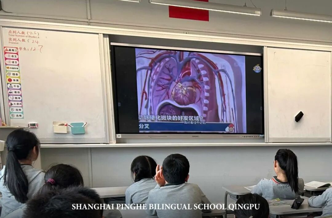 食在三餐，育藏深远——记2026年青浦平和小学部“劳动周之食育篇”