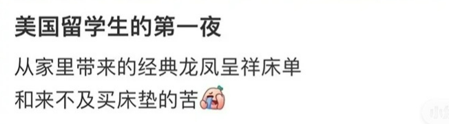网络留学生vs现实留学生：揭秘留学的“双重境界”
