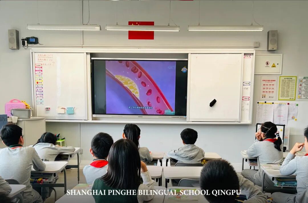 食在三餐，育藏深远——记2026年青浦平和小学部“劳动周之食育篇”