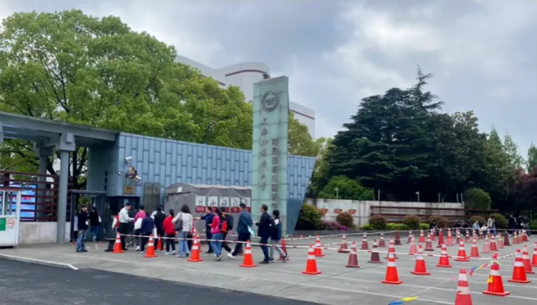 2026年上海三公保姆级攻略！家长建议收藏