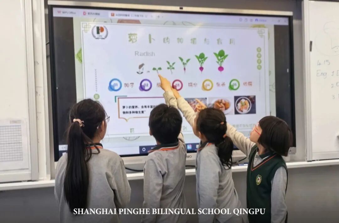 食在三餐，育藏深远——记2026年青浦平和小学部“劳动周之食育篇”