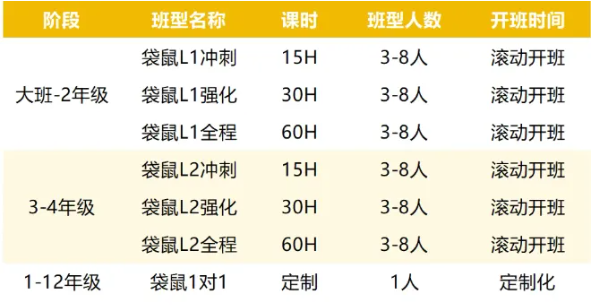 袋鼠竞赛为何是升学加分项？考试规则/报名流程/暑假班辅导~