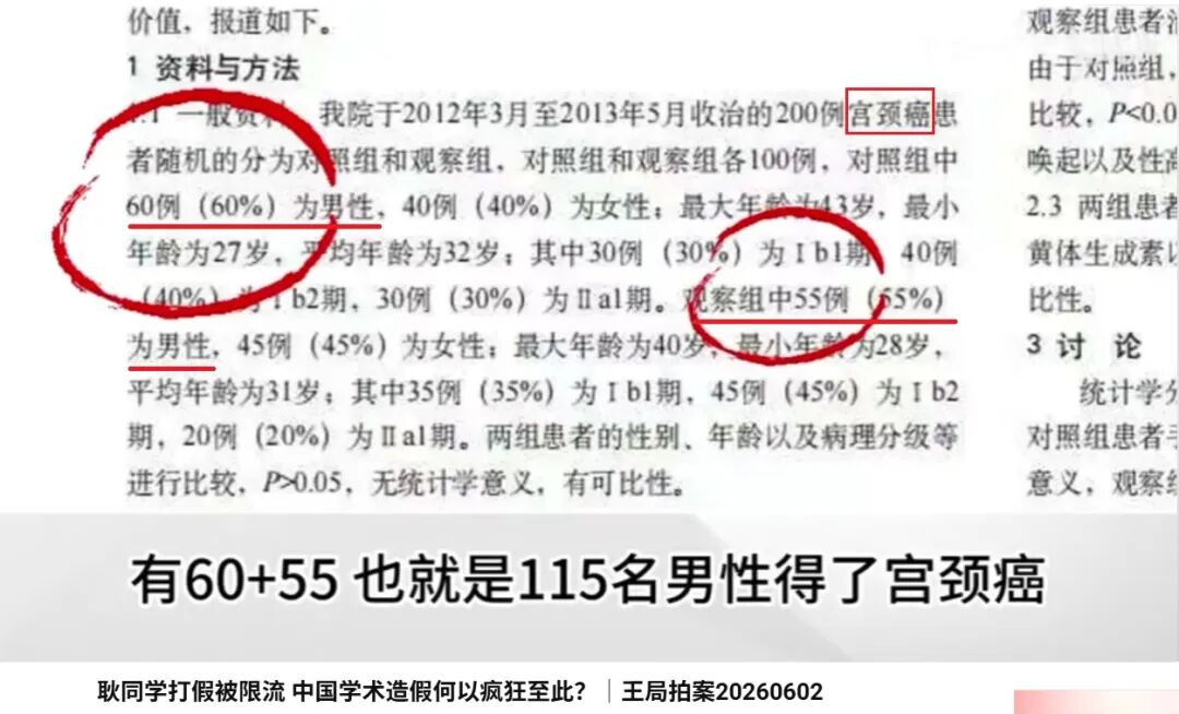 耿同学打假国内论文，英国大学的论文代写：秘密，还是公开秘密？