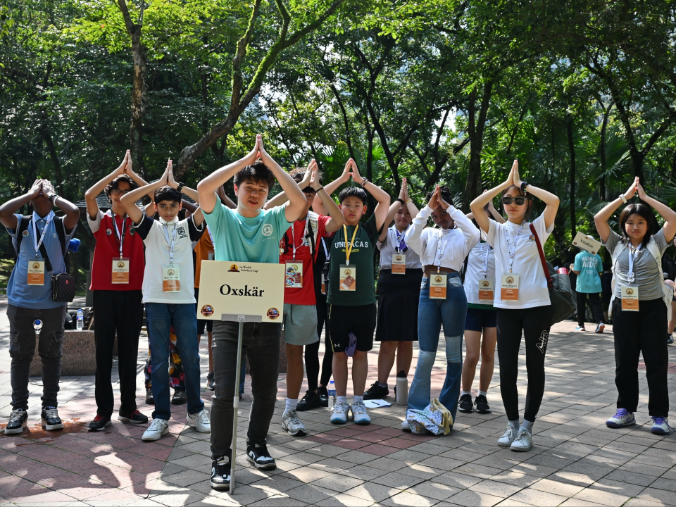 早鸟价最后4天！来上海和羊驼Jerry沪动吧！2026世界学者杯千人规模的国际学者Pwaarty由此进!