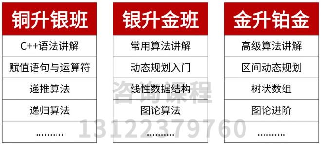 USACO竞赛培训 3位金牌USACO老师带你一路冲铂金