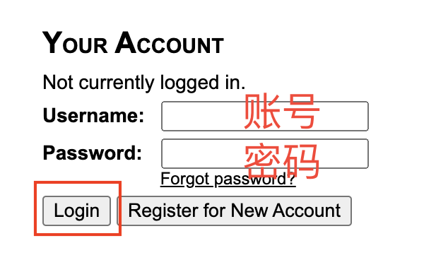 一文讲清USACO计算机竞赛考试时间/报名/含金量/备考课程!