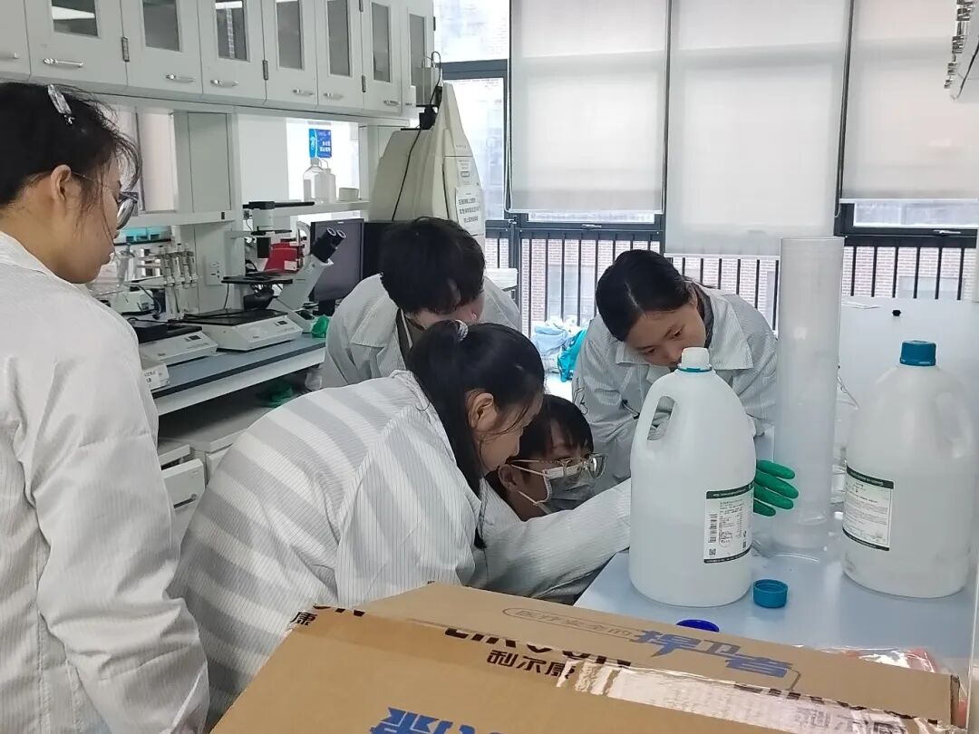最新项目 | 新兴生物资源开发:黑水虻废弃物处理与饲料制备 最新项目 | 新兴生物资源开发:黑水虻废弃物处理与饲料制备