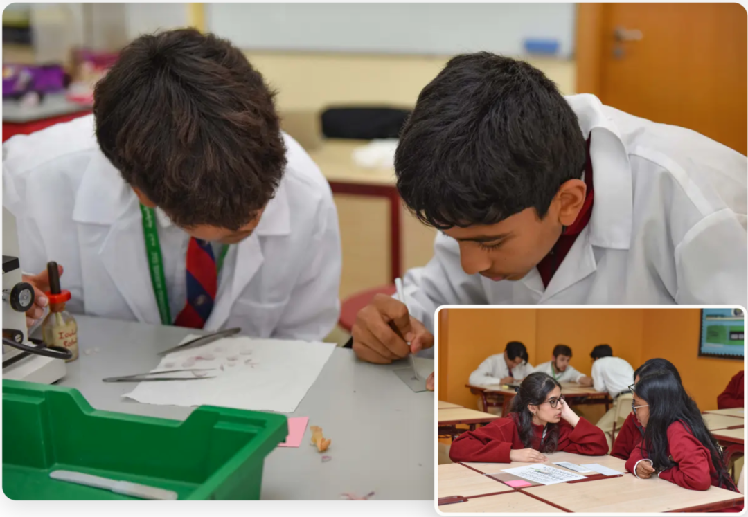 迪亚法国际学校(Diyafah International School LLC)入学指南 迪亚法国际学校(Diyafah International School LLC)入学指南