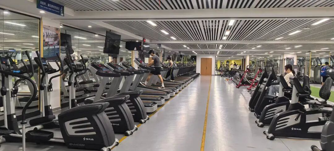 高考后的一次访校，我看到了藏在北师香港浸会大学校园内的宝藏项目！