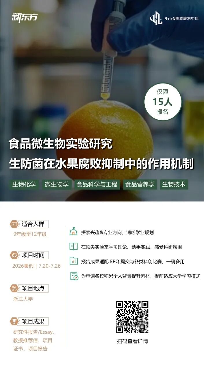从“课本公式”到“科研直觉”：为什么顶尖大学看重实验室经历？
