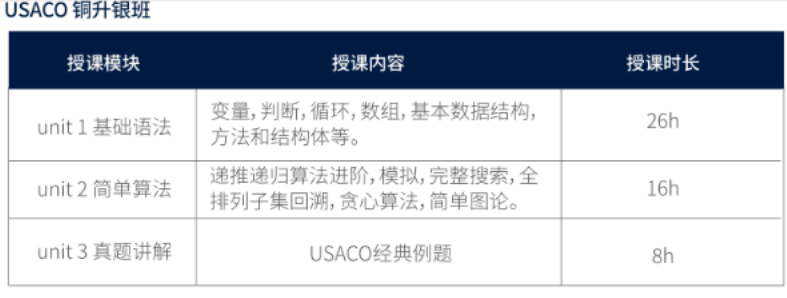 USACO计算机竞赛 27年备考时间轴全拆解 金牌导师亲授 暑期集训抢占先机 USACO计算机竞赛 27年备考时间轴全拆解 金牌导师亲授 暑期集训抢占先机