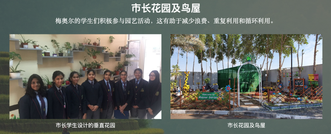 梅尤尔私立学校(Mayoor Private School)入学指南 梅尤尔私立学校(Mayoor Private School)入学指南