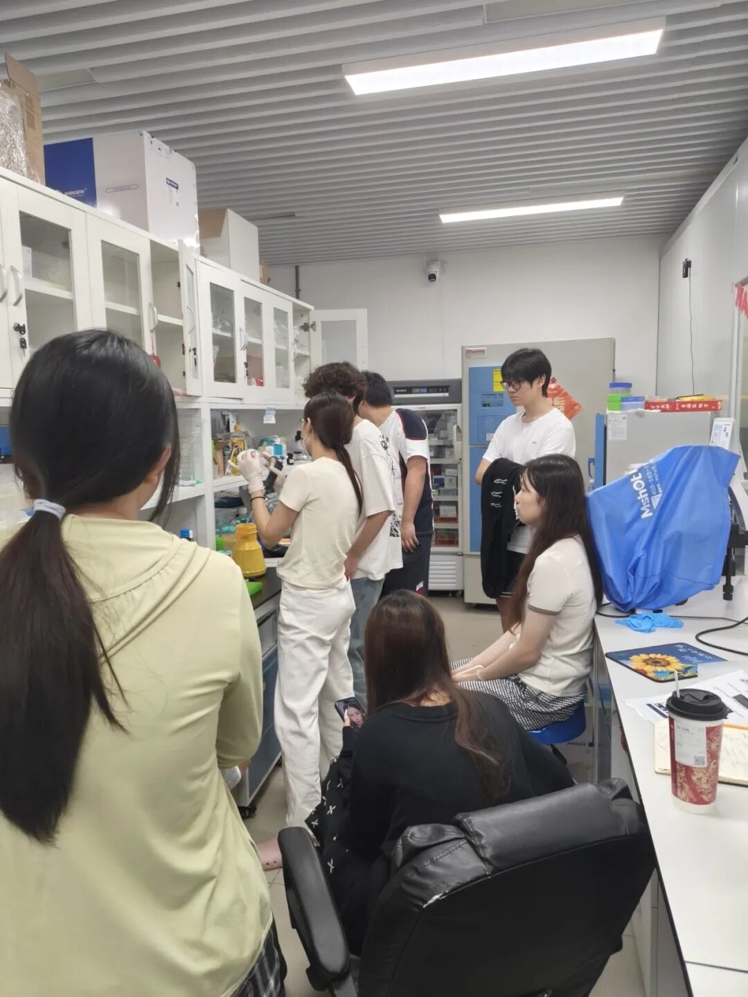 项目回顾 | 生物3D打印——组织再生与器官重建的研究 项目回顾 | 生物3D打印——组织再生与器官重建的研究