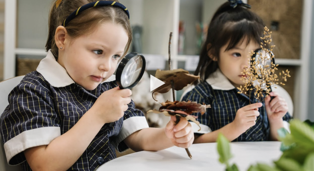 【揭榜】2026 新州(NSW)最佳 TOP 私立小学榜单! 【揭榜】2026 新州(NSW)最佳 TOP 私立小学榜单!