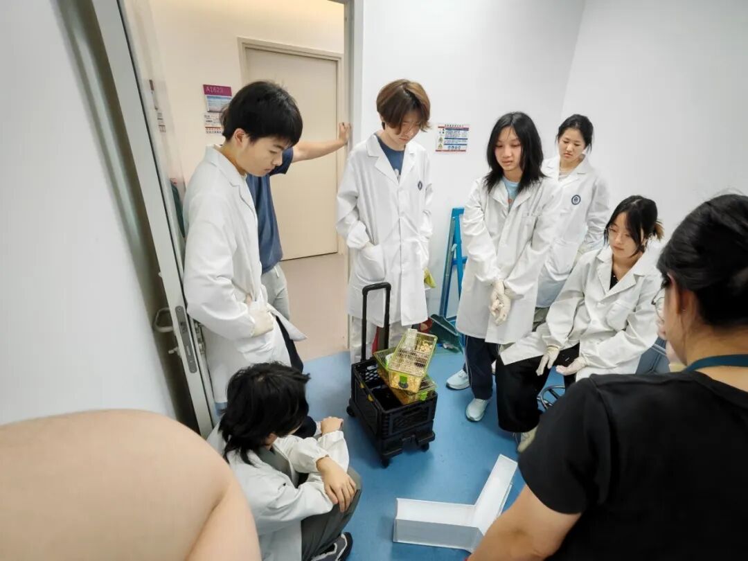 项目回顾 | 阿尔茨海默症等神经退行性疾病的病理检测 项目回顾 | 阿尔茨海默症等神经退行性疾病的病理检测