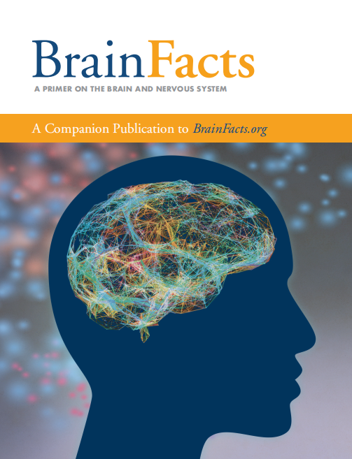 5-12 年级都能冲！2027 Brain Bee 赛程、晋级规则一次性讲清