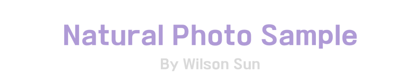 2026 Science Photography Contest (SPC) 报名正式开启！