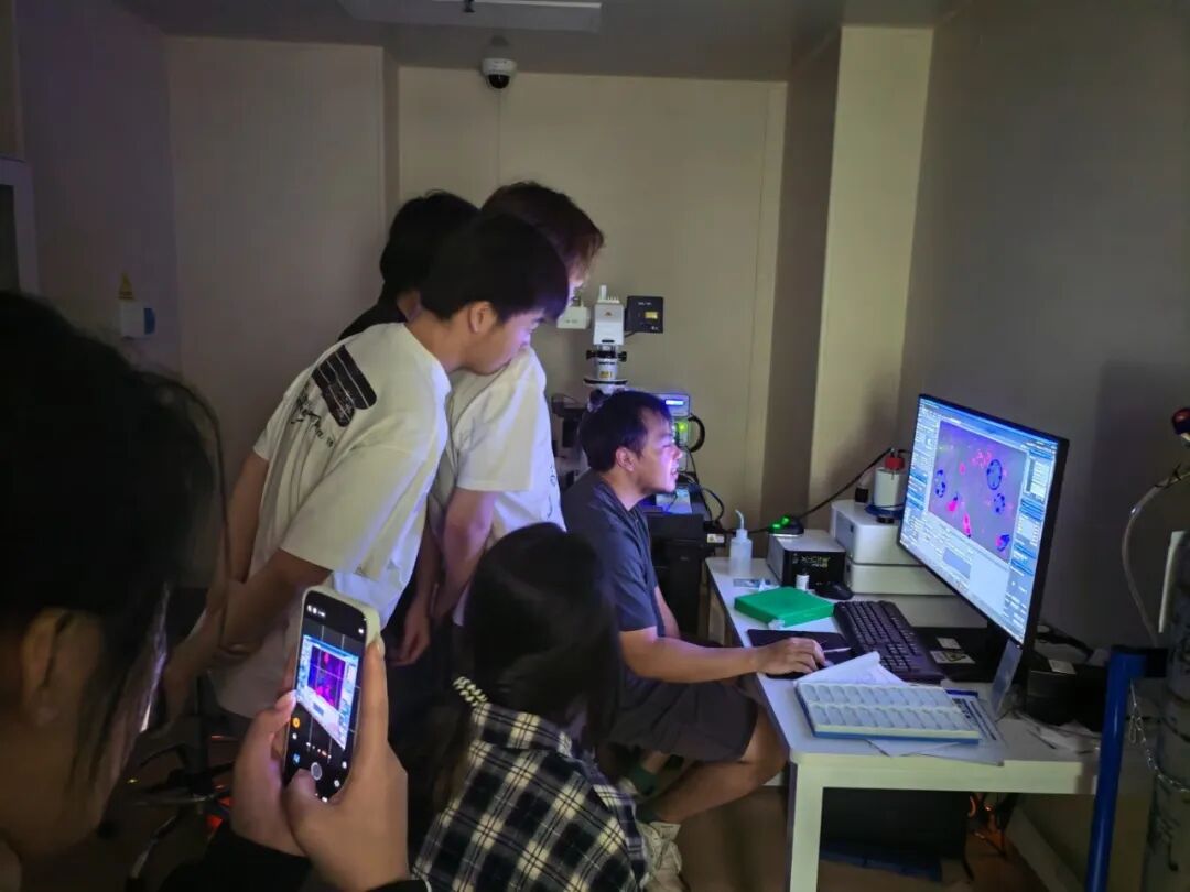 项目回顾 | 阿尔茨海默症等神经退行性疾病的病理检测 项目回顾 | 阿尔茨海默症等神经退行性疾病的病理检测